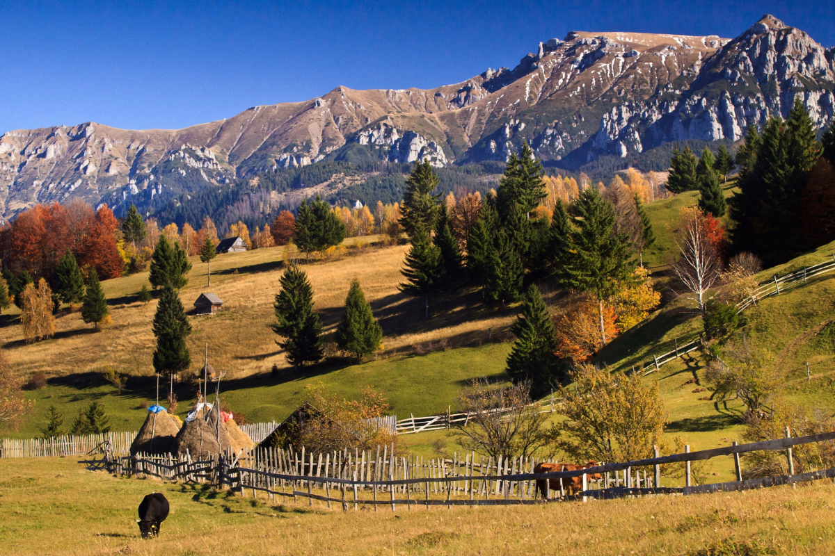 La Roumanie et les merveilles de la Transylvanie