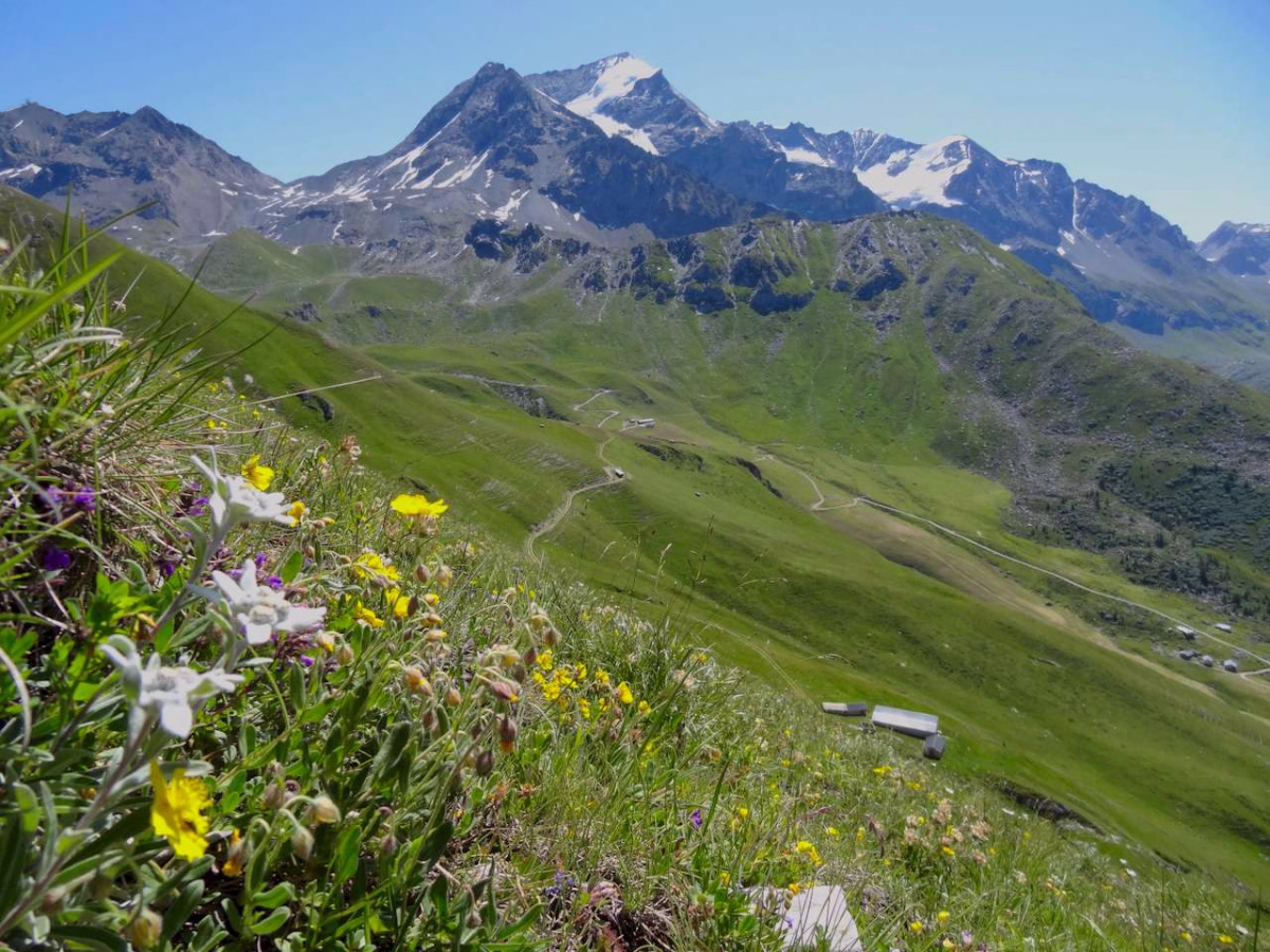 Trek au coeur de la Vanoise