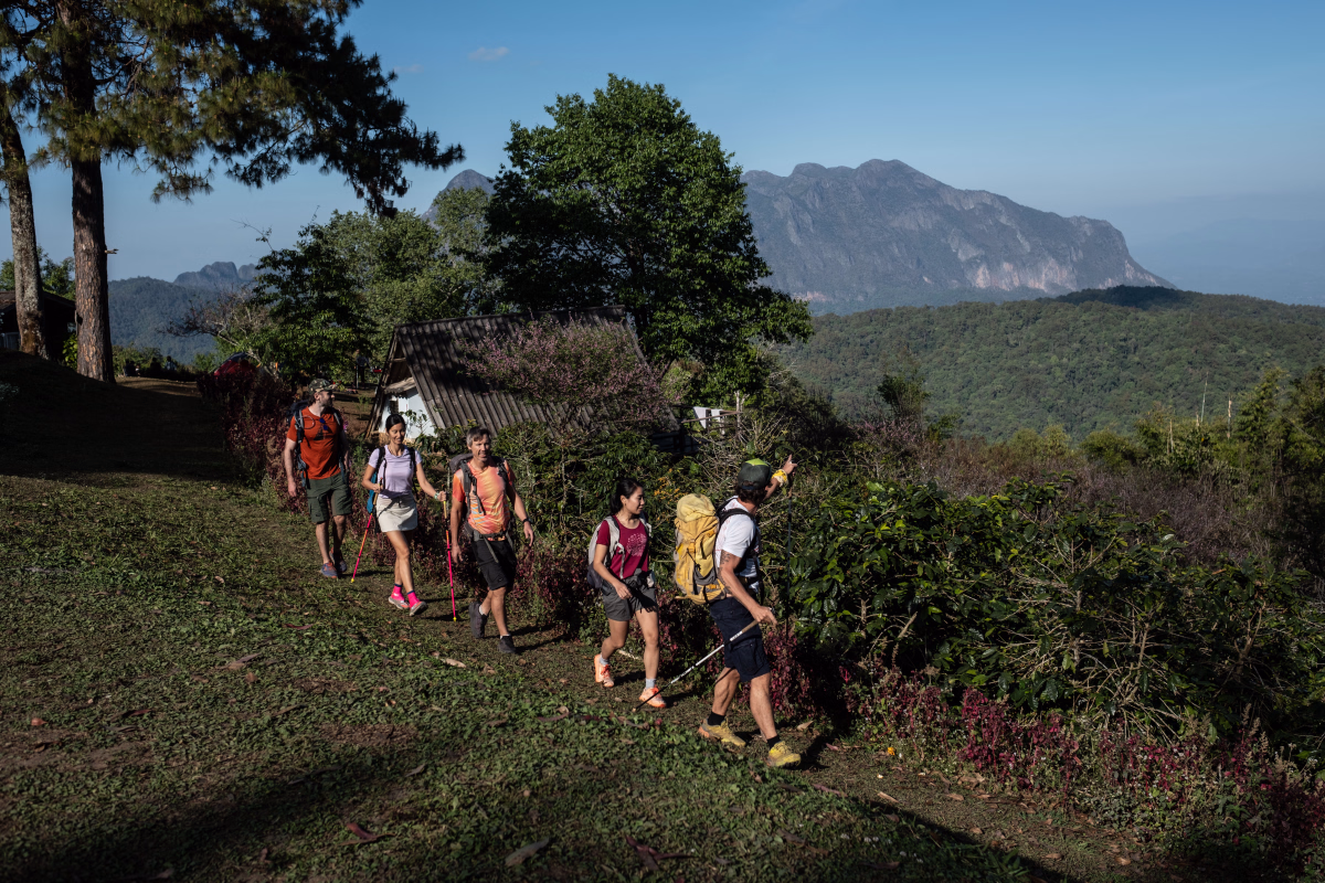 Trek - Excursion trek dans les montagnes de Chiang Dao