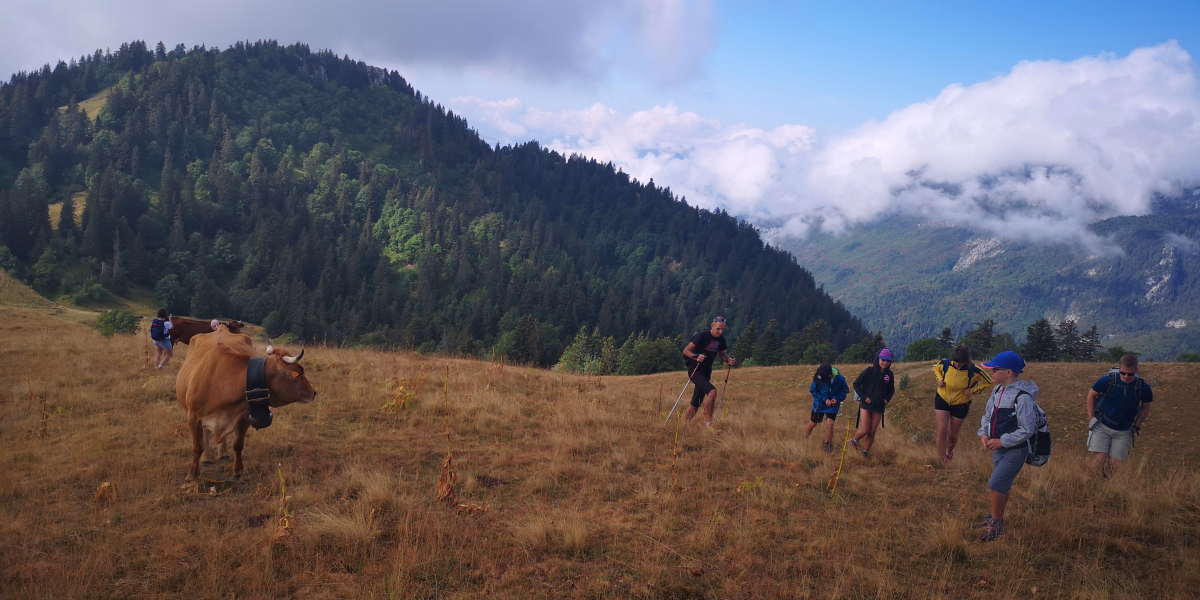 Aventure en famille au cœur des Alpes