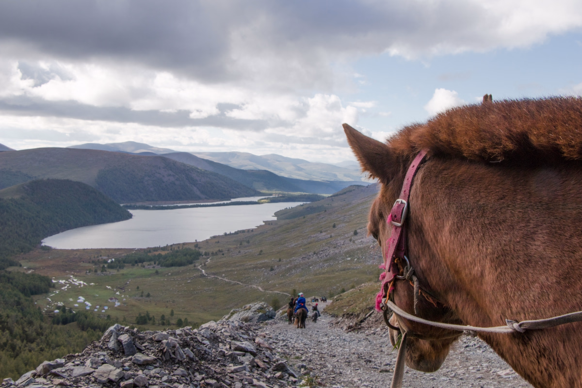 Voyage à cheval - À cheval dans le massif du Khangai et la vallée de l\'Orkhon