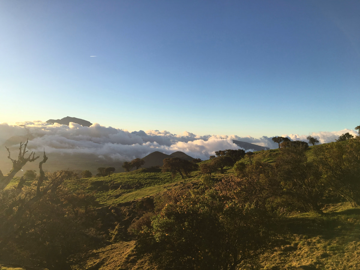 La Réunion, terre insolite