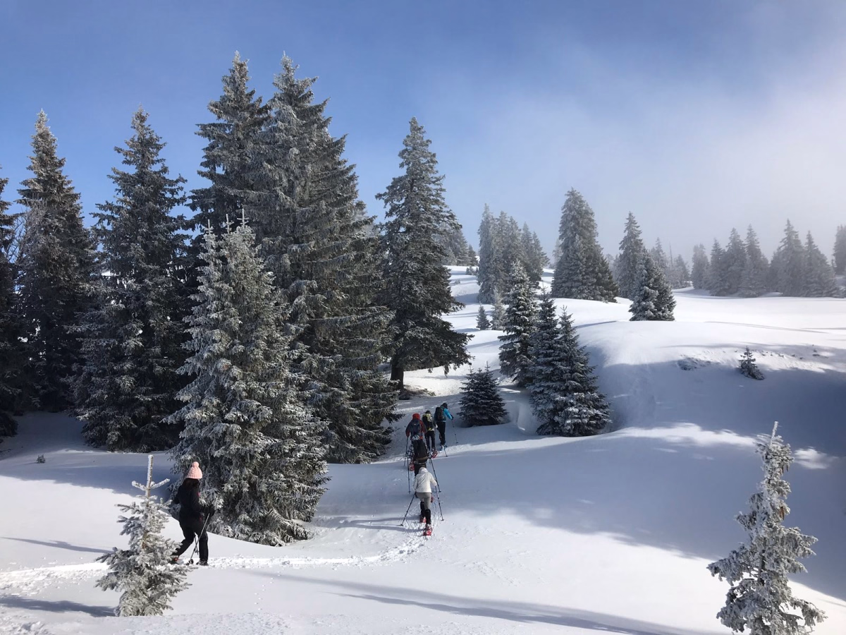 Week-end raquettes et réveillon en refuge dans le Jura