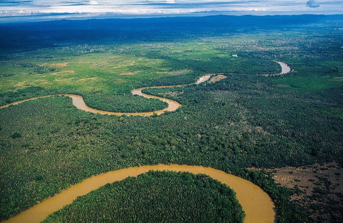 Transbornéo : trek et pirogue au cœur du Kalimantan sauvage