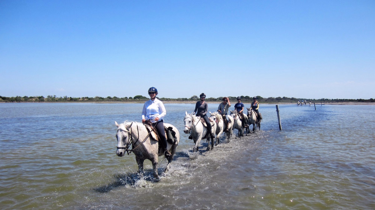 Voyage à cheval - Week end détente à cheval en Camargue
