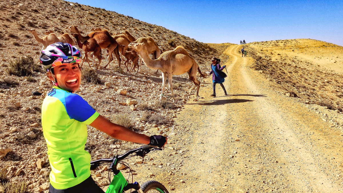 Trésors cachés du Maroc, entre vallées, désert et kasbahs
