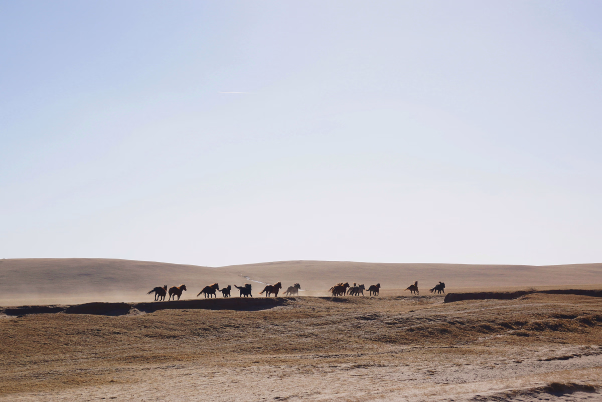Voyage à cheval - À cheval en Mongolie sur les terres sacrées du chamanisme