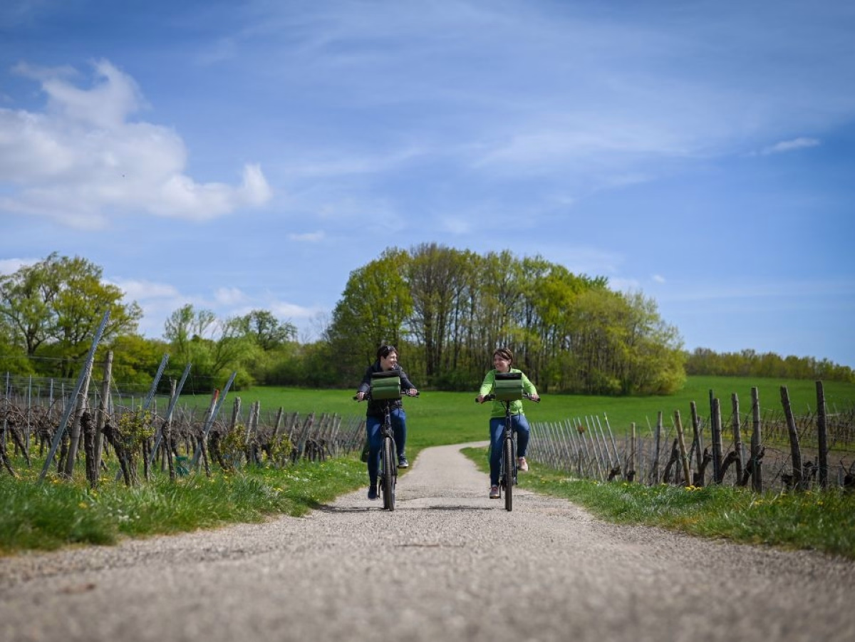 Vélo, spa et évasion : séjour deluxe en Alsace du Nord sur 4 jours