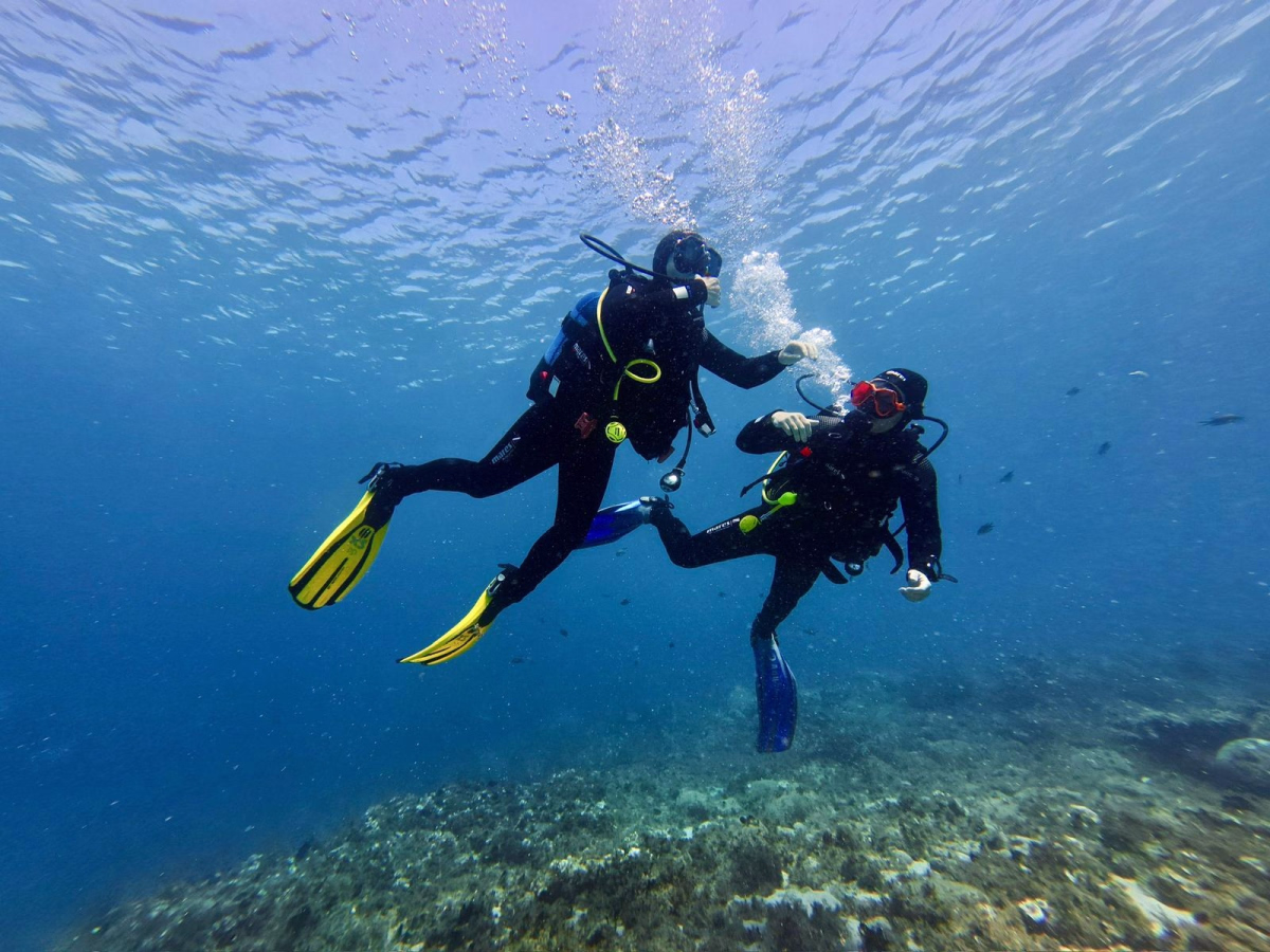 Devenez plongeur certifié et explorez le Musée Atlantique