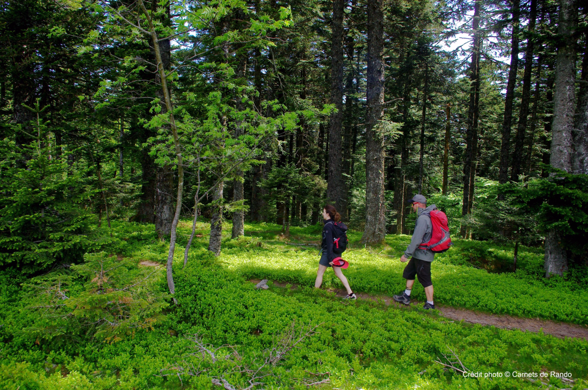 Randonnée guidée dans le parc naturel régional du Pilat