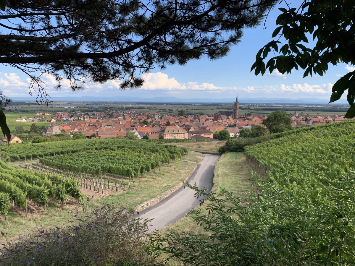 Voyage à vélo - Escapade à vélo sur la route des vins d\'Alsace en 4 jours, Confort