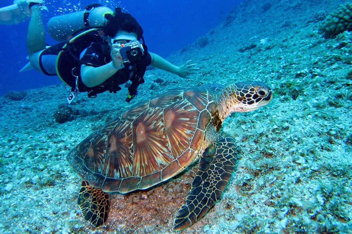 Snorkeling dans les lagons secrets des Raja Ampat