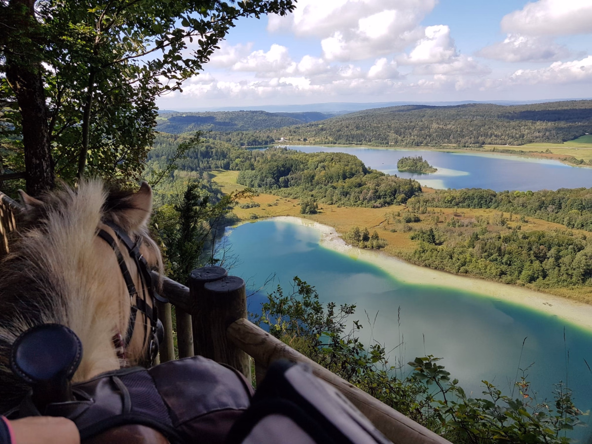 Voyage à cheval - Rando à cheval au fil des lacs et cascades du Haut-Jura