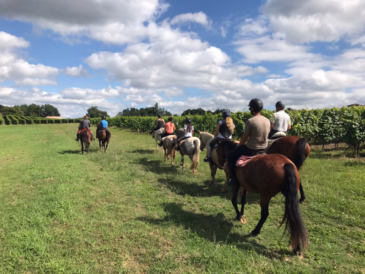 Voyage à cheval - Randonnée à cheval et détente en Gascogne