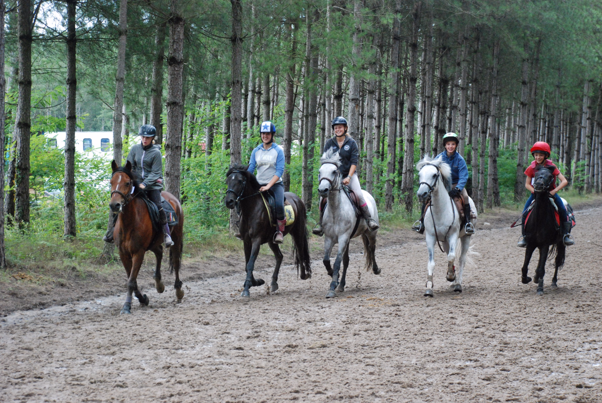 Stage d'équitation dans les vignes en Bourgogne du sud