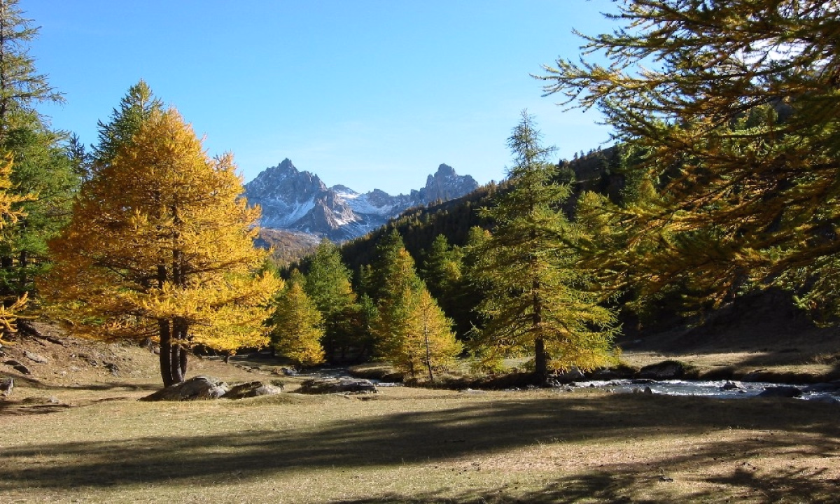 Randonnée immersive dans la vallée préservée de la Clarée