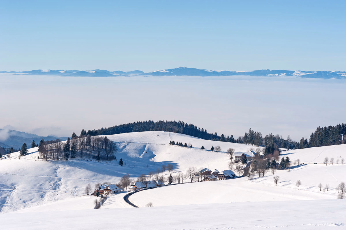 Randonnée en raquettes et Nouvel An dans les Vosges