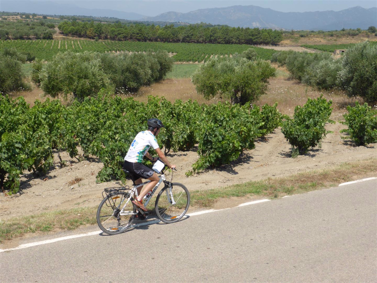 Voyage à vélo - À vélo au cœur des vignobles de l\'Empordà : entre terroir et histoire