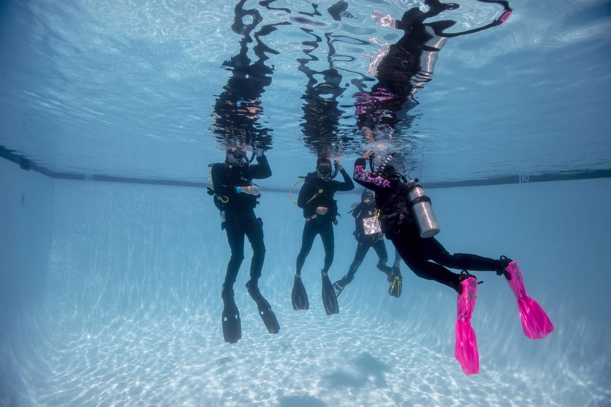 Trek - Initiation plongée et snorkeling à Safaga