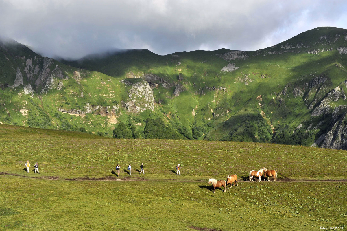 Randonnée, yoga et canikart en Auvergne