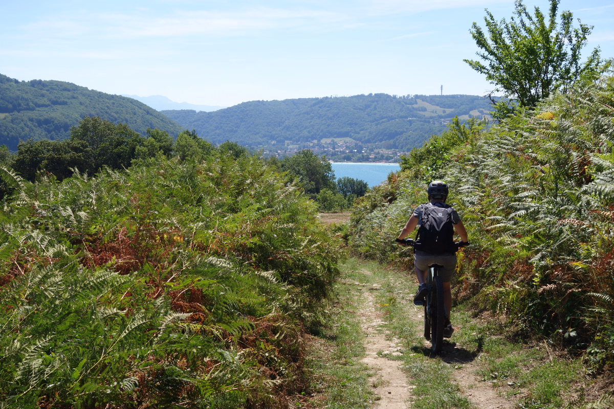 Voyage à vélo - Chemins de Compostelle à vélo : Genève - Le Puy en Velay