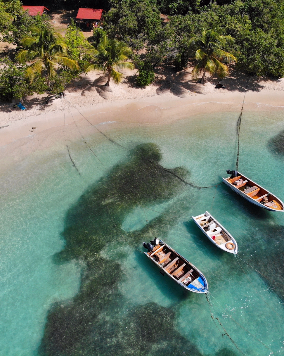 Croisière en catamaran départ Martinique vers la Guadeloupe