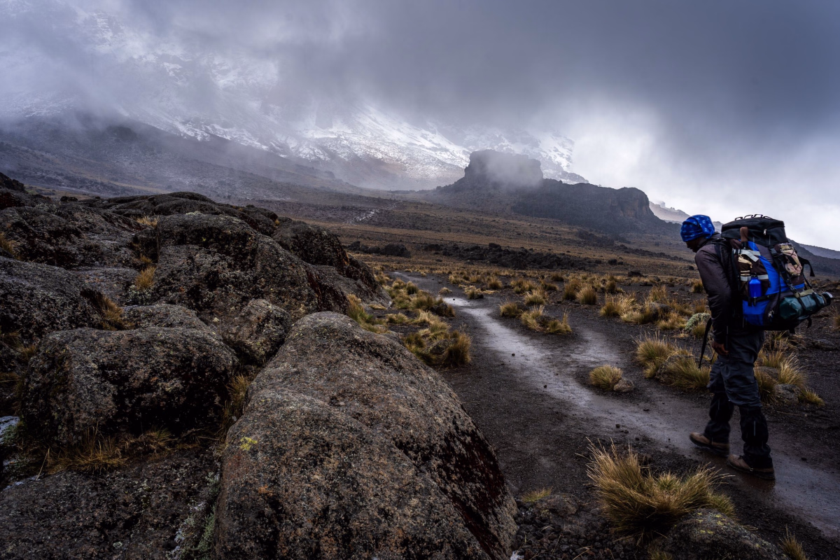 Trek - Kilimandjaro voie Nord : itinéraire sauvage et peu fréquenté