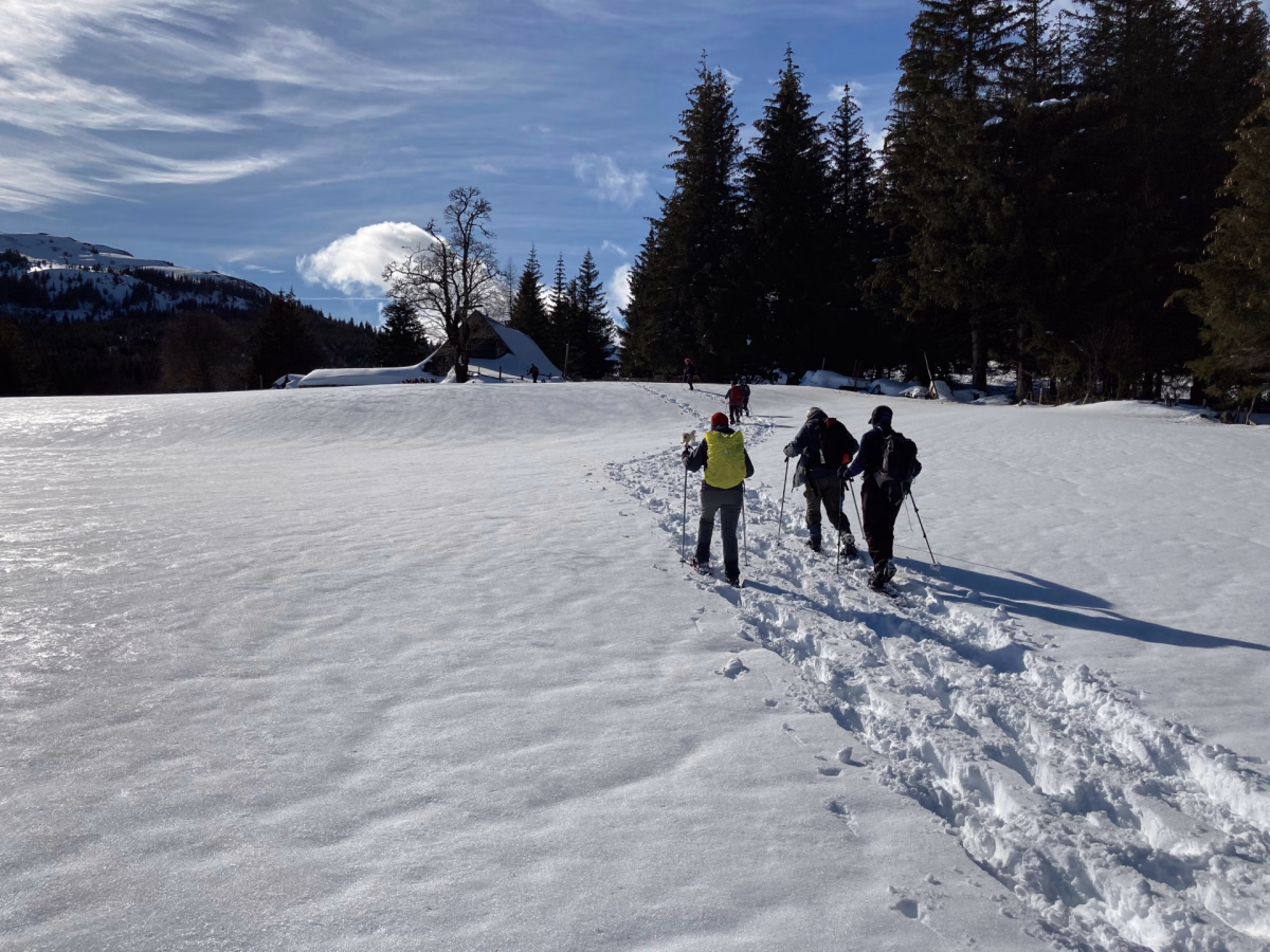 Escapades hivernales dans les volcans d'Auvergne