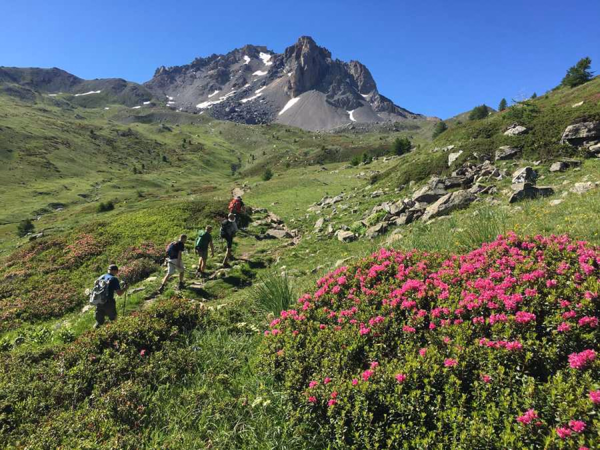 Voyage en Haute Montagne - Ascension des sommets de la Clarée en randonnée