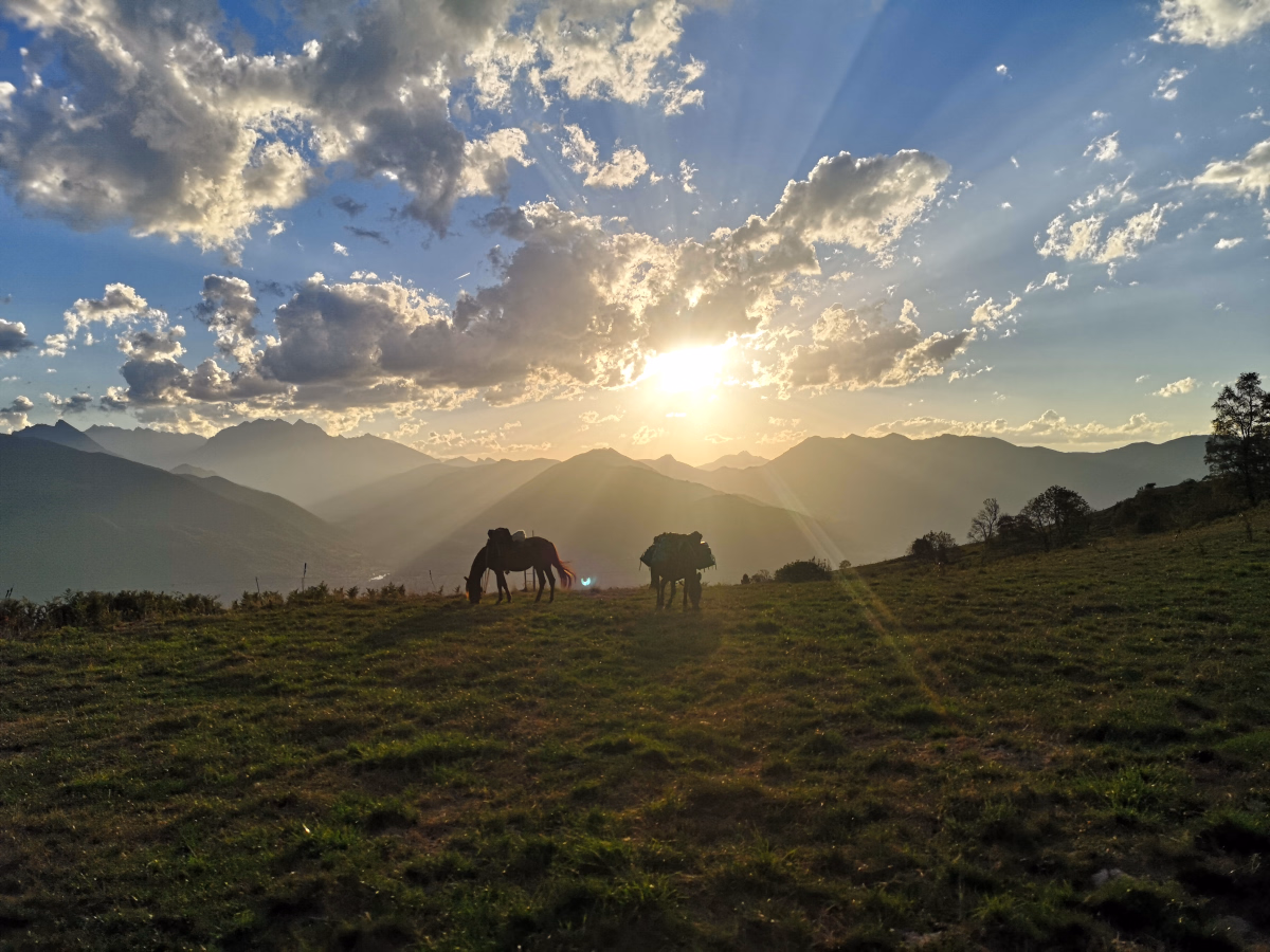 Voyage à cheval - Chevauchée de 4 jours dans les Hautes Pyrénées