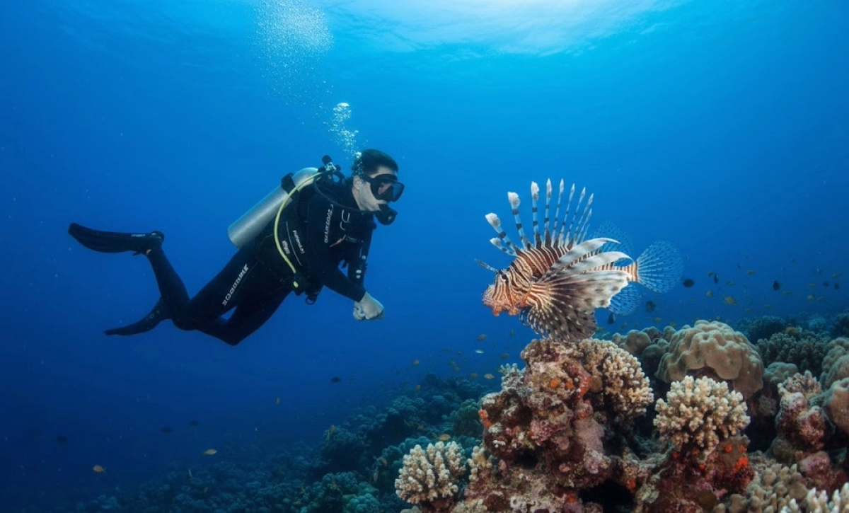 Trek - Exploration des fonds marins à Safaga en Egypte