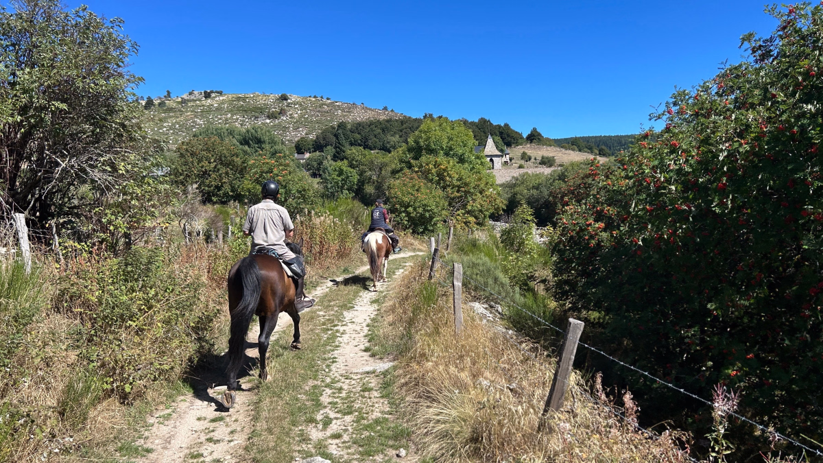 Voyage à cheval - Randonnée à cheval en Lozère, de la Margeride au Mont Lozère