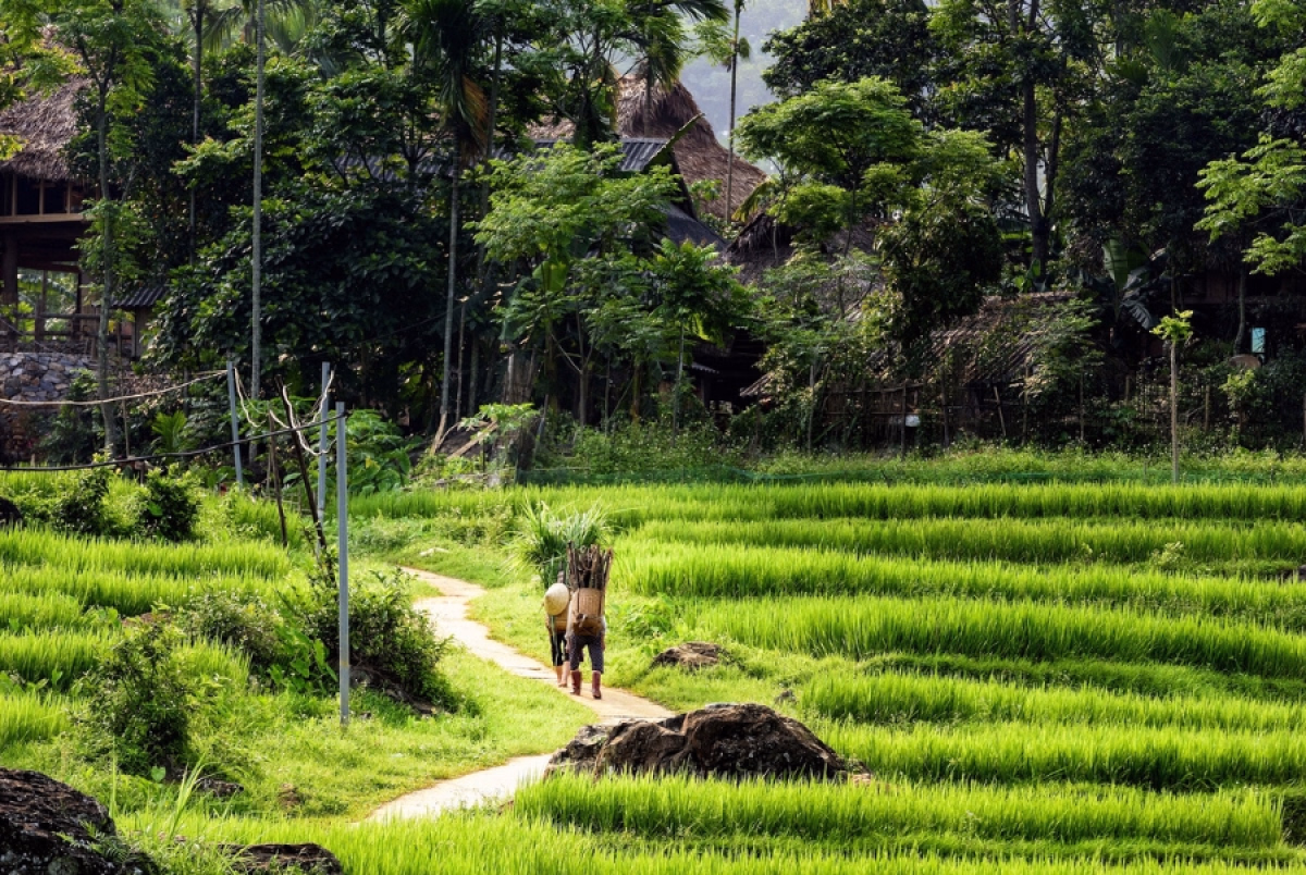 Voyage à vélo - Excursion Mai Chau et Pu Luong à vélo électrique - 3 Jours