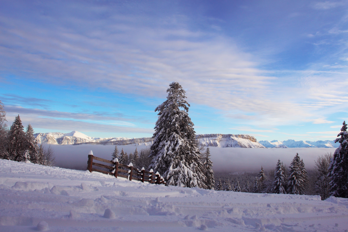 Paysage des Bauges en raquettes