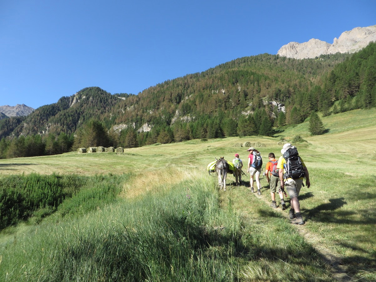 Rando avec un âne en famille autour du Queyras