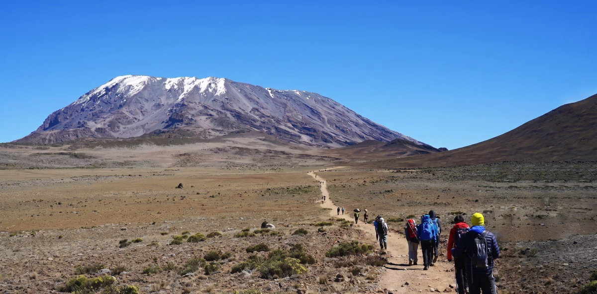 Voyage en Haute Montagne - Ascension du Kilimandjaro par la voie Northern Circuit - 8 jours