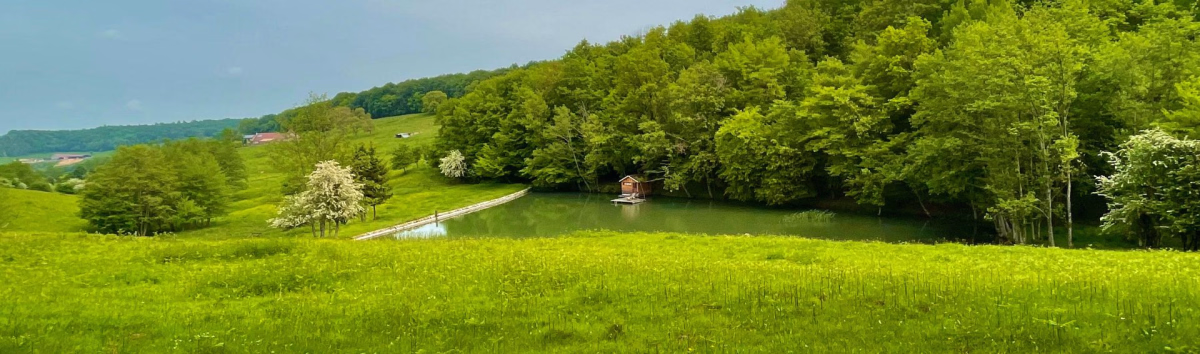 A la découverte du jardin secret de la Bourgogne
