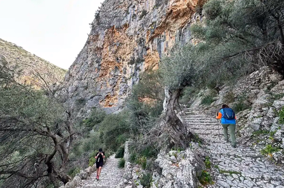 Randonnée dans la Sierra de Tramuntana (GR221)
