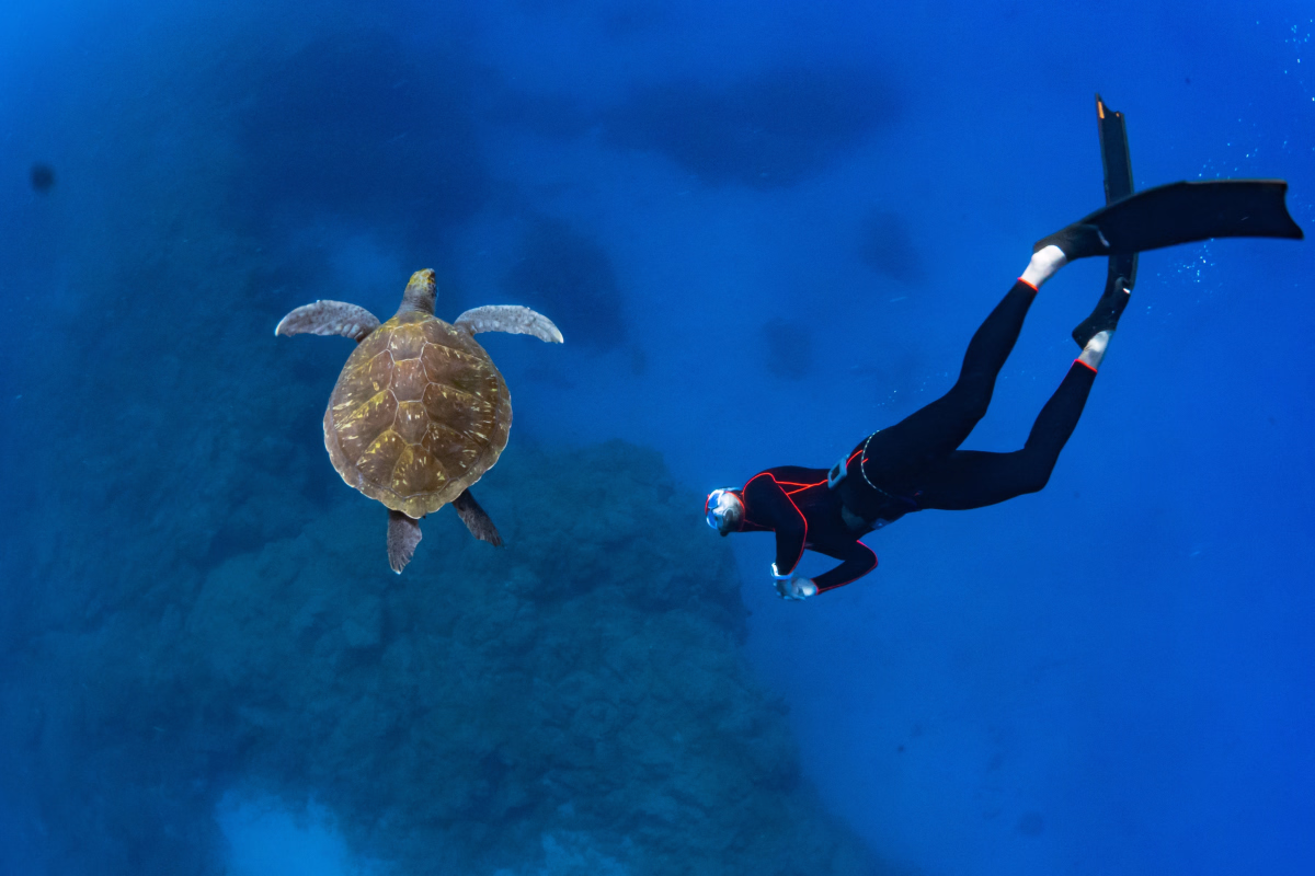 Apnée à Tenerife : initiation freediver en océan