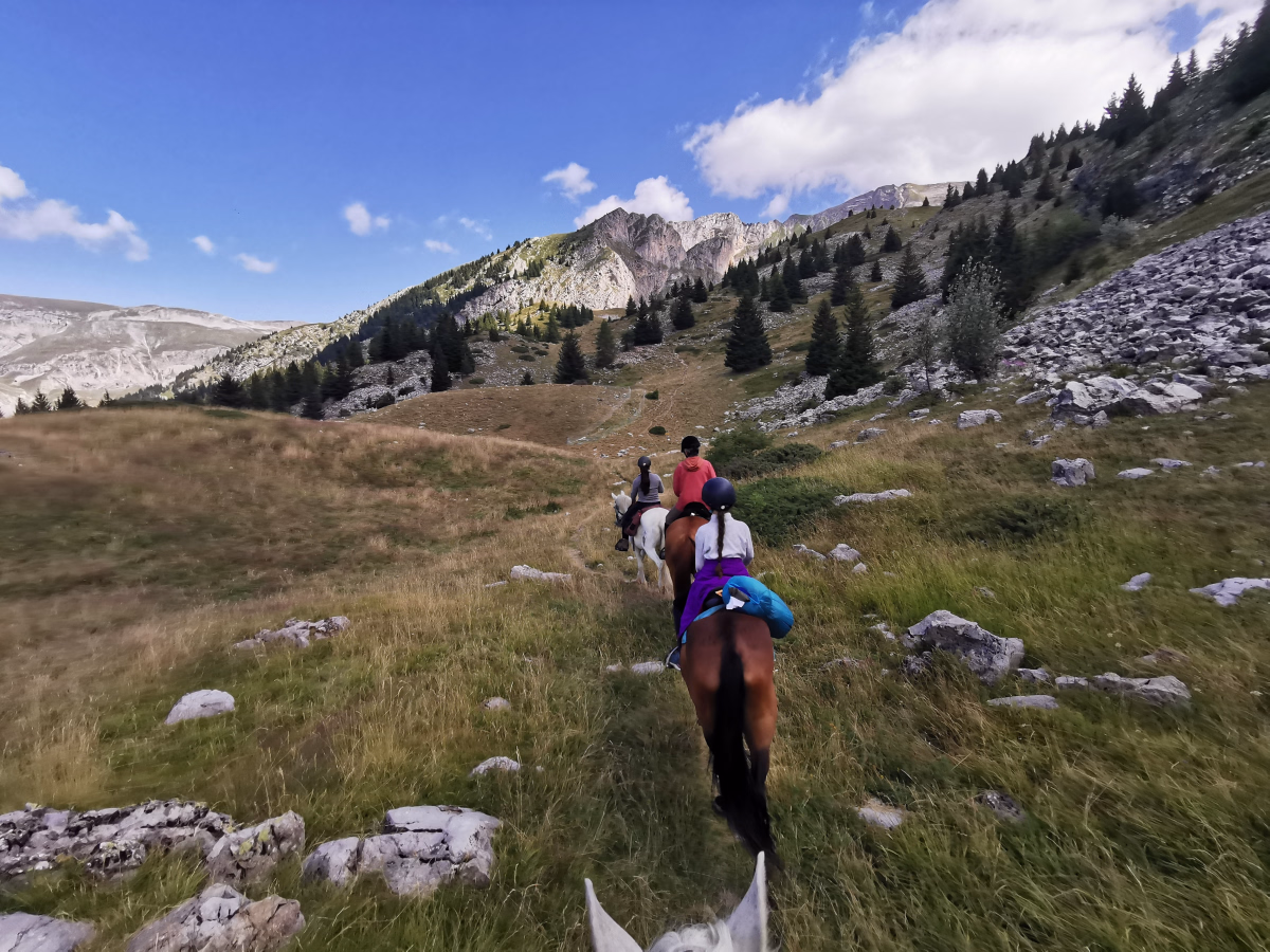 Voyage à cheval - L\'Odyssée sauvage du Dévoluy : immersion équestre en terre pastorale