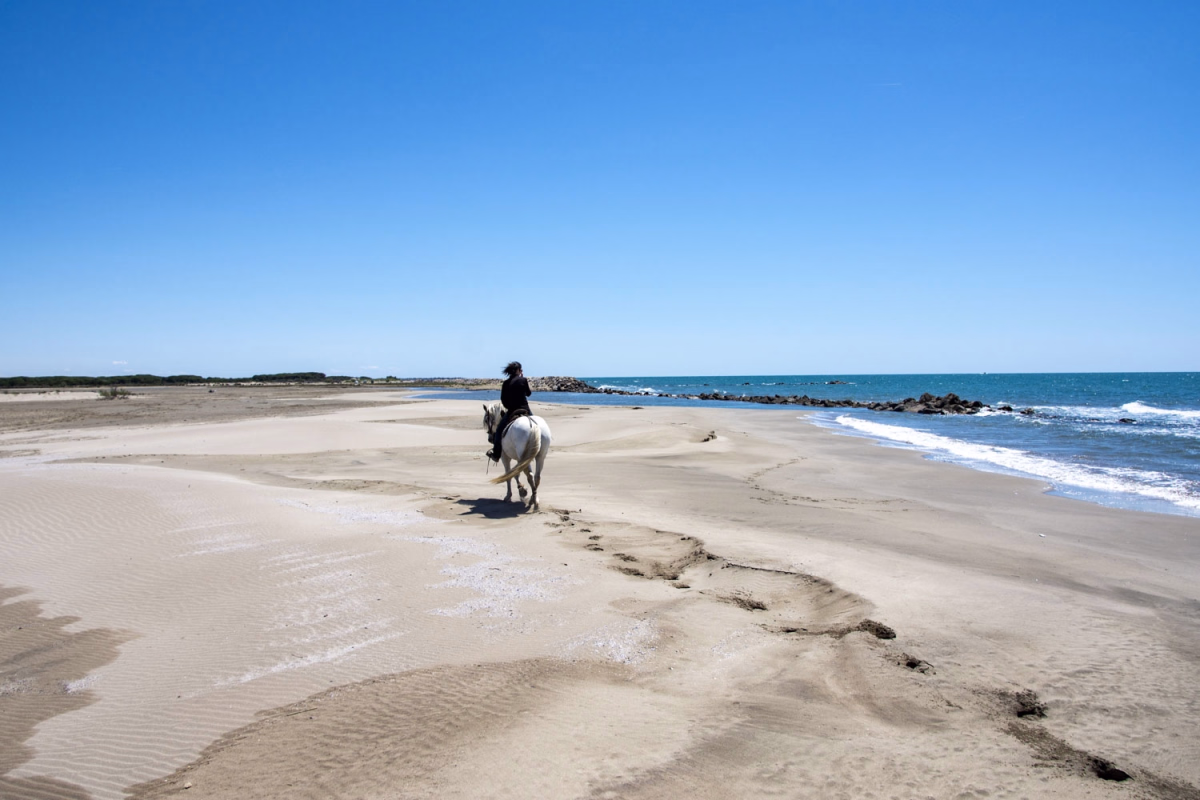 Voyage à cheval - Week end randonnée à cheval en Camargue