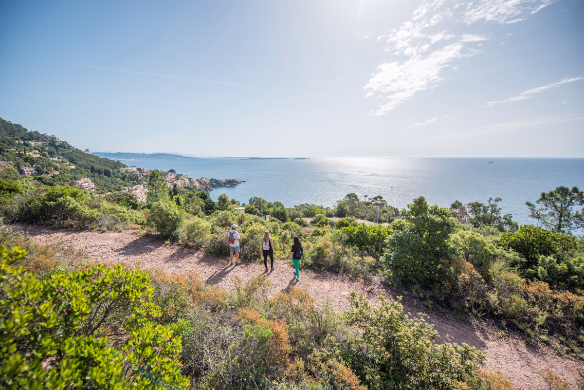 Randonnée sur la côte d'Azur entre mimosa et soleil