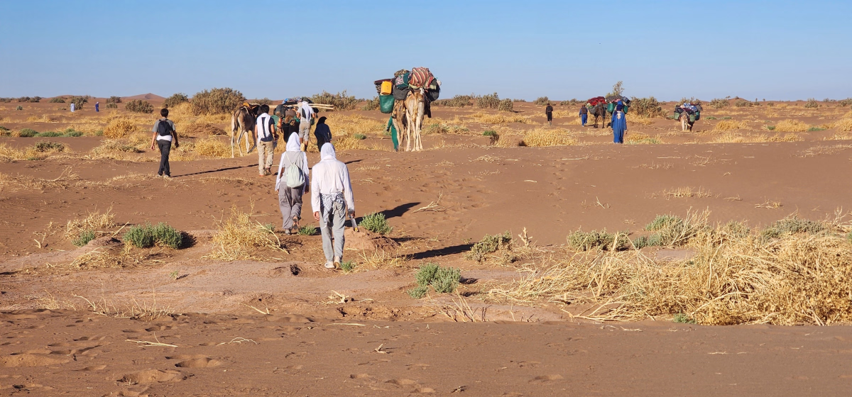 Trek - Trek de 8 jours dans le désert marocain et nuits sous les étoiles