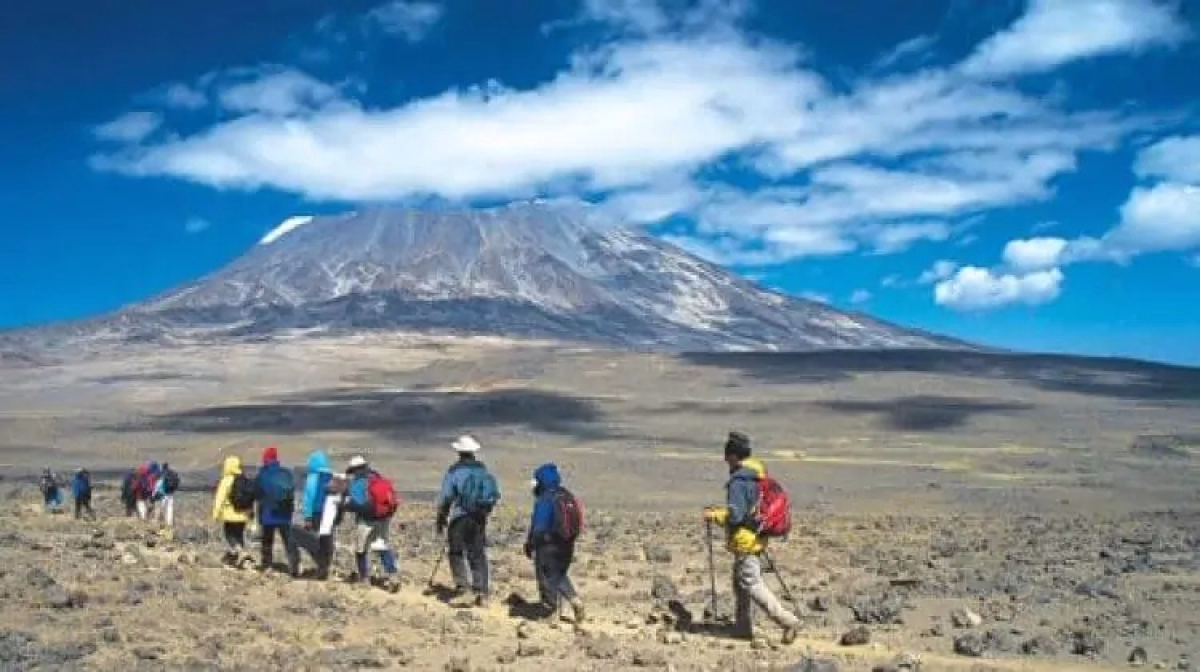 Le Kilimanjaro via Marangu Route en 8 jours et tout compris