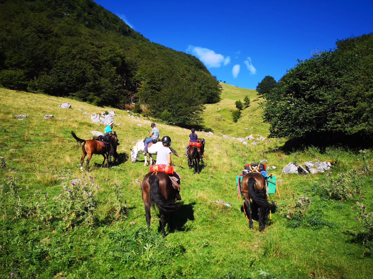 Voyage à cheval - Randonnée équestre et bivouac dans les Baronnies