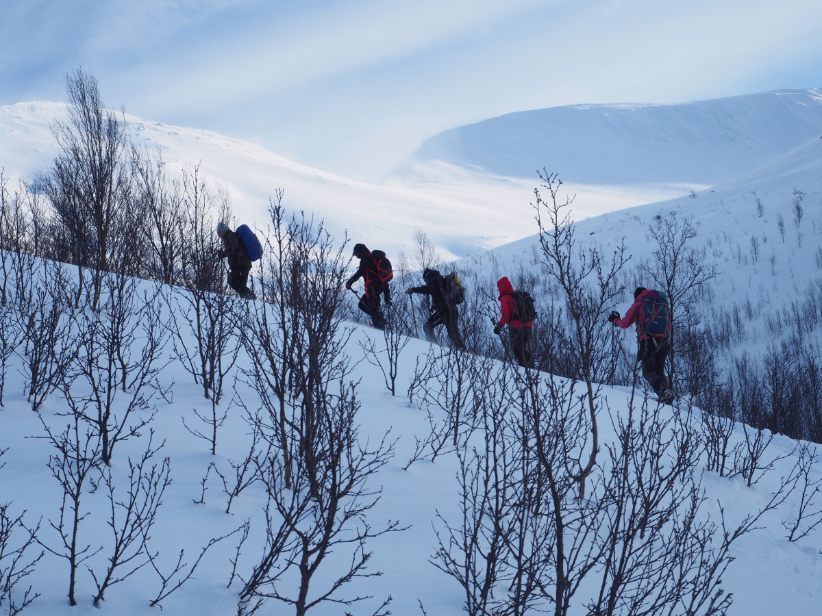 Rando raquettes en Norvège au nord du cercle polaire