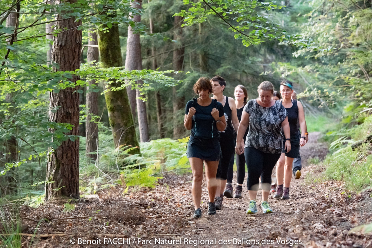 Randonnée et bien-être au féminin au cœur des Vosges
