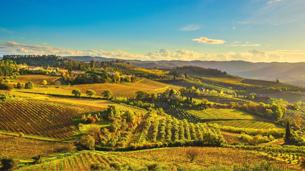 Voyage à vélo - La route des vins de Florence à Sienne à vélo