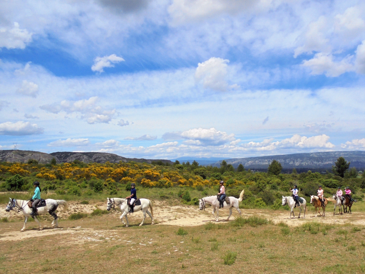 Voyage à cheval - Randonnée équestre et nature dans le Luberon