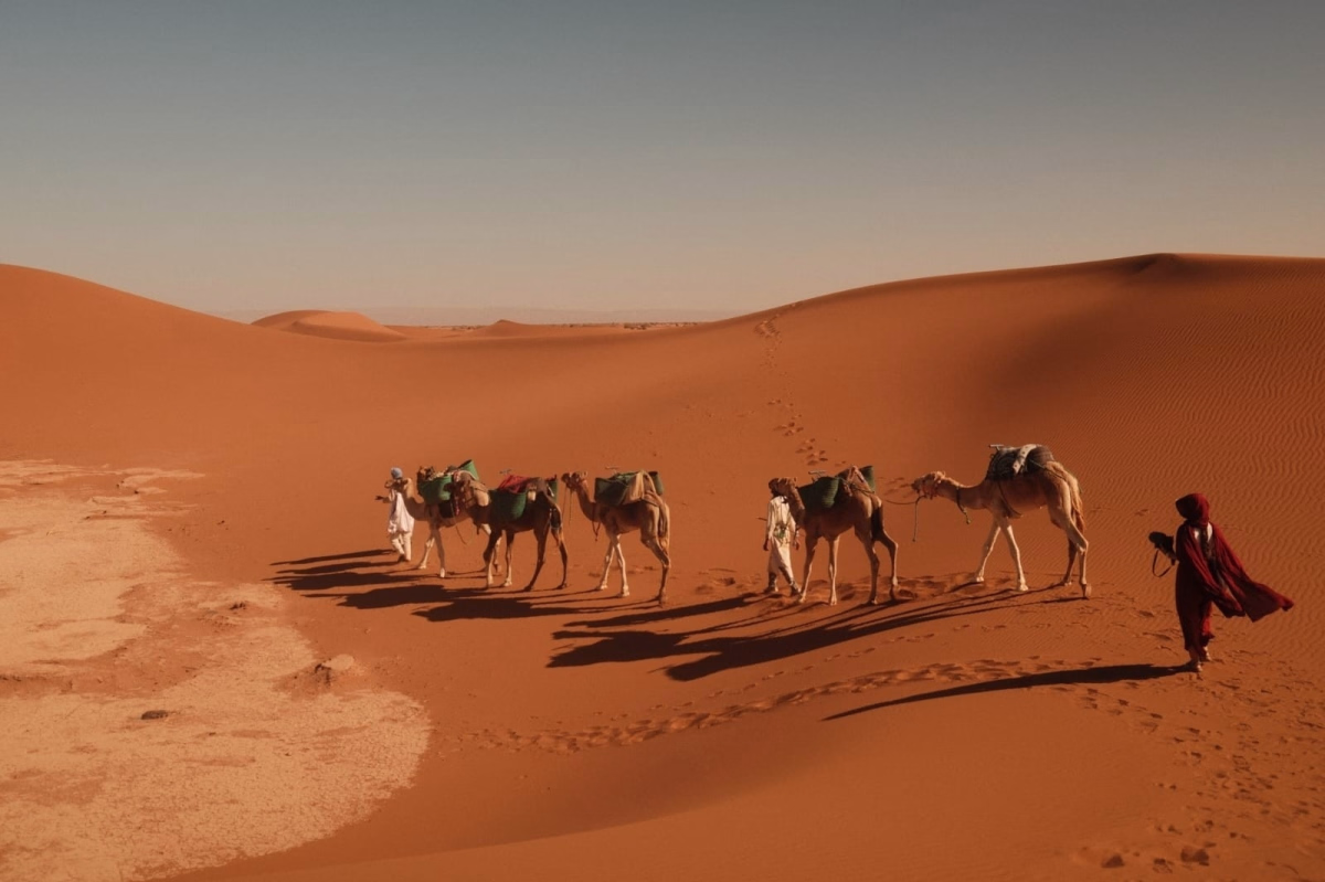 Trek dans le désert marocain depuis Marrakech en 4 jours